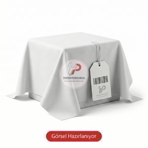 Fren Diski Ön Havalı Boyalı 300×22 mm